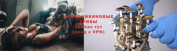 трава Бронницы