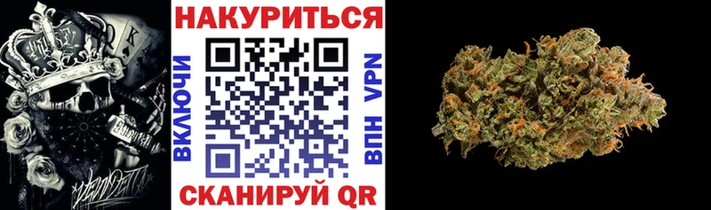 Канабис планчик магазин продажи наркотиков Знаменск